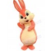 Easter Bunny Rabbit mascot costume