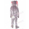Easter Bunny Rabbit mascot costume