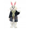 Easter Bunny Rabbit mascot costume