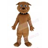 Bulldog mascot costume