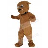 Bulldog mascot costume