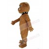 Bulldog mascot costume