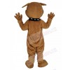 Bulldog mascot costume