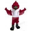 Cardinal mascot costume