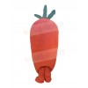 Carrot mascot costume