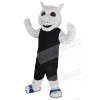 Squirrel mascot costume