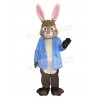 Easter Bunny Rabbit mascot costume
