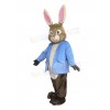 Easter Bunny Rabbit mascot costume