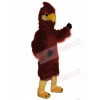Hawk mascot costume