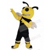 Bumblebee mascot costume