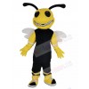 Bumblebee mascot costume