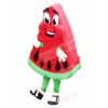 High Quality Watermelon Mascot Costume Cartoon