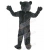 Cat mascot costume