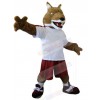 Wolf mascot costume