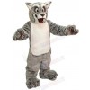 Wolf mascot costume