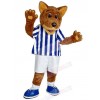 Wolf mascot costume
