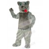 Wolf mascot costume