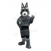Coyote mascot costume