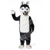 Wolf mascot costume