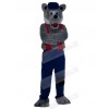 Wolf mascot costume