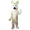 Wolf mascot costume