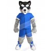 Wolf mascot costume