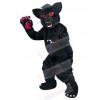 Panther mascot costume