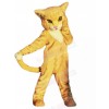 cat mascot costume