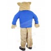 wildcat mascot costume