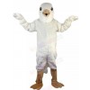 Pigeon mascot costume