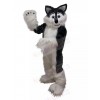 wolf mascot costume