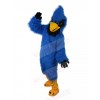 eagle mascot costume