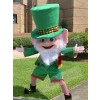 Leprechaun mascot costume
