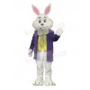 Easter Bunny Rabbit mascot costume