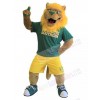 Lion mascot costume