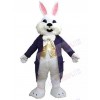 Easter Bunny mascot costume