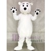 White Polar Bear Mascot Costumes Animal