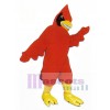 Happy Cardinal Mascot Costume