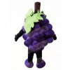 Purple Grape Mascot Costumes Fruit Food Plant