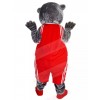 Bear mascot costume