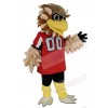 Falcon mascot costume