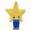 Star mascot costume