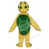 Turtle mascot costume