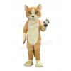 Cat mascot costume