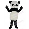 Panda mascot costume