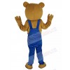 Bear mascot costume