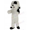 Dog mascot costume