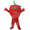 Cute Red Tomato with Smile Mascot Costume