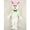 Funny Easter Bunny Rabbit Mascot Costume School 