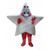 Star mascot costume